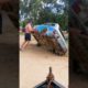 Guy Showcases Amazing Strength | People Are Awesome #shorts