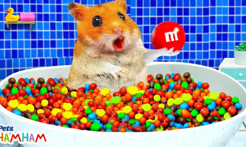 Hamster bath in the Rainbow Bathtubs with Candy M&M | Funny animals | Life Of Pets Hamham