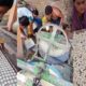 Ladies Making Dal Bori - Traditional Indian Village Food