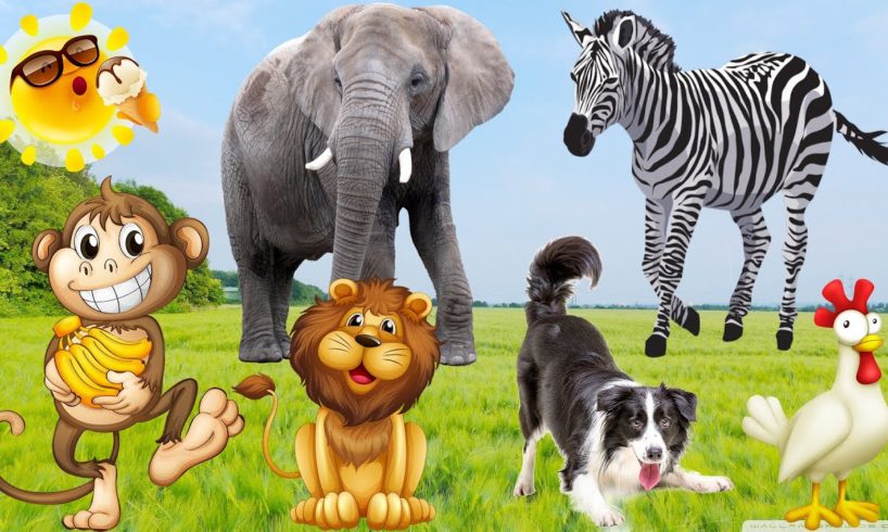 Learn to love animals, learn animal sounds dog, cat, horse, elephant, cow, monkey, pig