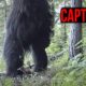 MEGA COMPILATION of Disturbing Trail Cam Footage 2023
