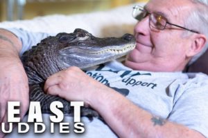 Meet Wally: My Emotional Support Gator | BEAST BUDDIES