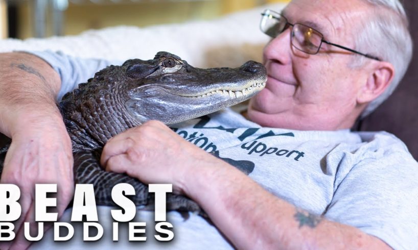 Meet Wally: My Emotional Support Gator | BEAST BUDDIES