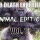 Near death experiences caught on CAMERA - Animal edition Vol. 1