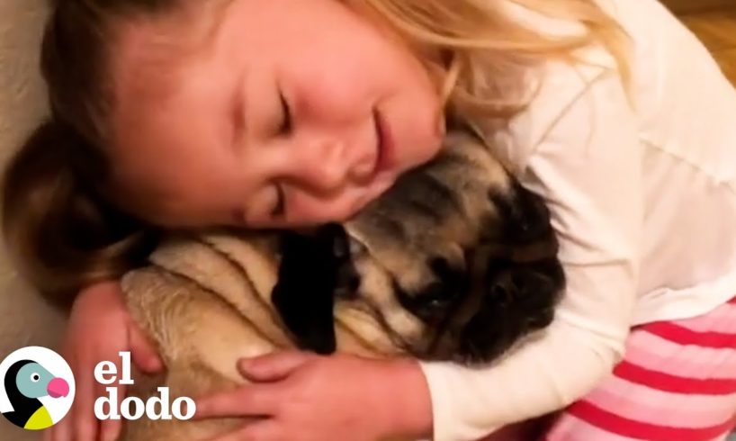 Niños que crecen con perros | Almas Gemelas | El Dodo