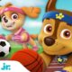 PAW Patrol Sports Rescues & Adventures! 🏀 w/ Chase & Skye | 60 Minute Compilation | Nick Jr.