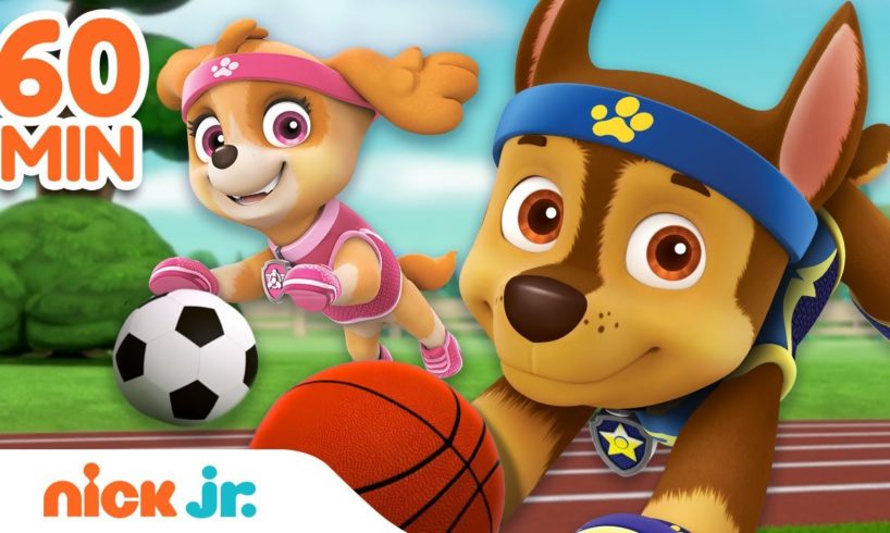 PAW Patrol Sports Rescues & Adventures! ЁЯПА w/ Chase & Skye | 60 Minute Compilation | Nick Jr.