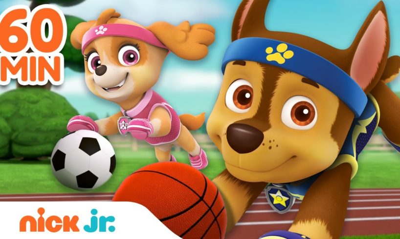 PAW Patrol Sports Rescues & Adventures! 🏀 w/ Chase & Skye | 60 Minute Compilation | Nick Jr.