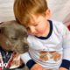 Perro saltador ayuda a criar a su hermano humano | Puro Pitbull | El Dodo