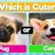 Pick the Cutest Dog | Which Dog is Cuter?