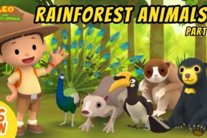 Rainforest Animals Minisode Compilation (Part 1/2) - Leo the Wildlife Ranger | Animation | For Kids