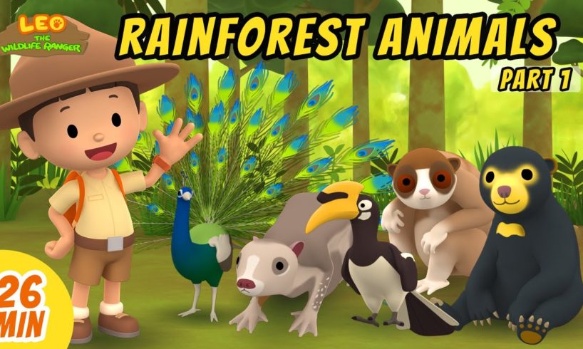 Rainforest Animals Minisode Compilation (Part 1/2) - Leo the Wildlife Ranger | Animation | For Kids