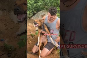 SHORTS FEED MOST VIRAL DOG RESCUE BREAKING NEWS #shortsfeed #dog #subscribenow #subscribe #viral