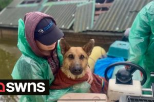 Volunteers risk lives to rescue animals from Ukraine floods | SWNS