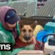 Volunteers risk lives to rescue animals from Ukraine floods | SWNS