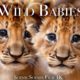 Wild Babies 4K - Amazing World Of Young Animals | Baby Animals | Scenic Relaxation Film