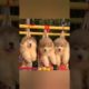 #cutest #puppies #funnyanimalvideo #shorts @sempa-sho4142