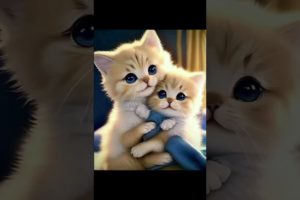 #my cutest puppies #youtubeshorts #foryou #foryoupage #promotion #trendingshorts #trending