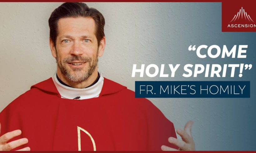 "Come Holy Spirit!" | Pentecost Sunday (Fr. Mike's Homily) #sundayhomily