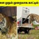 கல் நெஞ்சை கரைக்கும் சம்பவங்கள் #4 | Animals Freed For First Time | Most Inspiring Animal Rescues