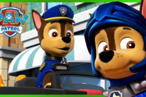 1 Hour of Chase Rescues - Mighty, Ultimate, and More! | PAW Patrol | Cartoons for Kids Compilation