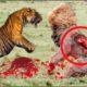 10 CRAZIEST ANIMAL FIGHTS CAUGHT ON CAMERA. Lion versus leopard, Giraffe versus giraffe