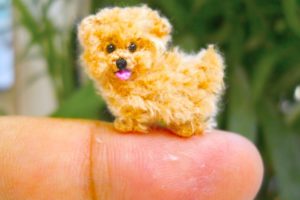 20 Smallest Dog Breeds In The World