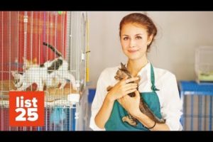 25 INSANE Facts About Animal Shelters