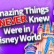 50 Amazing Things You Never Knew Were in Disney World