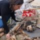 Abandoned dog..  was left to die helpless..Heartbreaking 💔