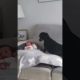 Adorable Dog Cheers Up Crying Baby With Kisses