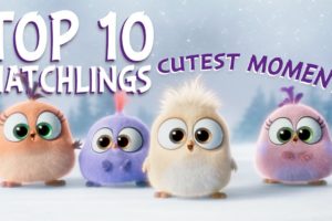 Angry Birds | Top 10 Hatchlings Cutest Moments