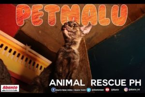 Animal Rescue PH tampok sa Petmalu!