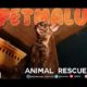 Animal Rescue PH tampok sa Petmalu!