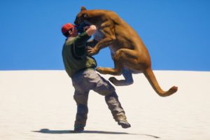 Animals VS Humans - Far Cry 5