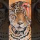 Artist Paints Cheetah On Girlfriends Back | People Are Awesome