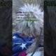 Badly injured poodle abandoned in the desert - full rescue video: www.HopeForPaws.org ❤️