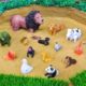 Beautiful Wild Animals Farm Animals in the Mud | King Lion Panda Cow Elephant Wolf Squirrel