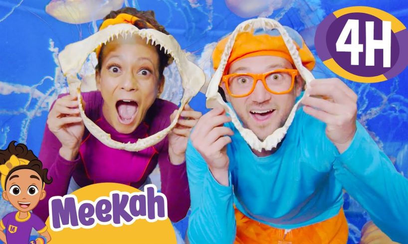 Blippi and Meekah Visit The Aquarium of Pacific! | 4 HOURS OF MEEKAH! | Educational Videos