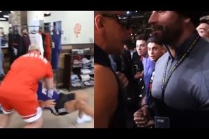 Bradley Martyn Fighting Compilation