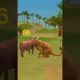 Cow 🐄Vs Lion🦁 #shorts #animals #janglichannel