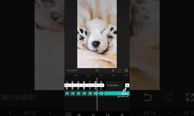 Cutest puppies ever #shorts #viral #trending #youtubeshorts # TikTok #cute