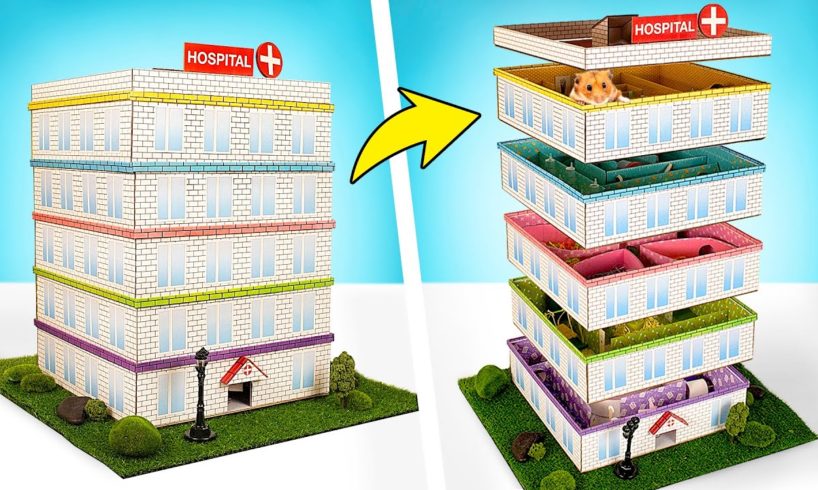 DIY Hospital Five-Level Maze For Hamster