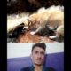 Dog rescue from drowning/Dog rescue_#rescue #shorts