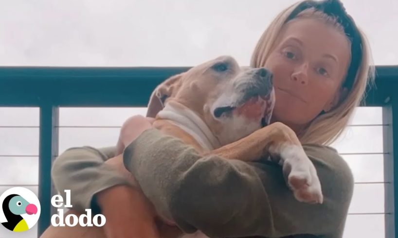 Este perro sabe exactamente cuándo su mamá necesita un abrazo | Puro Pitbull | El Dodo