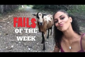 FAILS of The Week - Have a laugh you deserve it