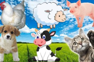 Farm animals - chicken, cow, dog, pig, sheep - Animal sounds