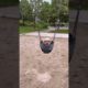 First time playing on a swing #shorts #animals #funny #cute #dog #short #funnyvideo #minipoodle