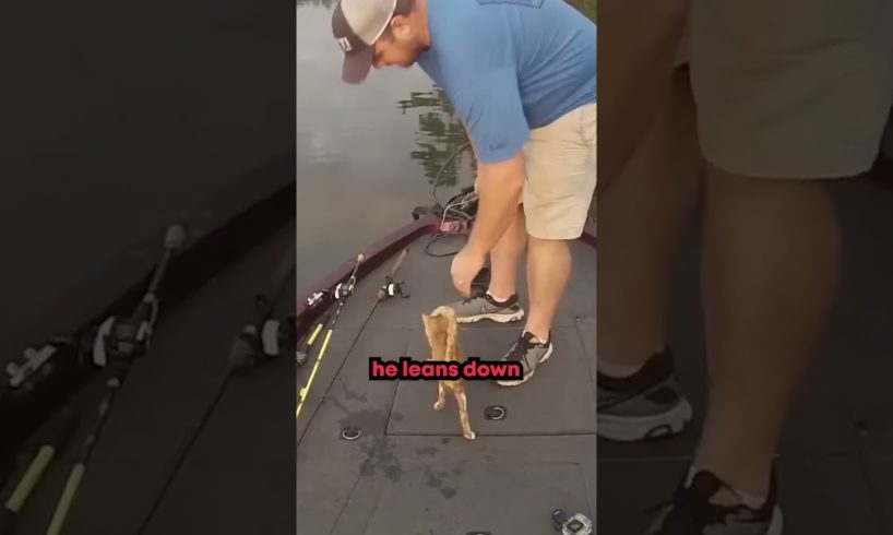 Fisherman Saves Kittens From River 🙀