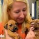 Gente pasa días tratando de salvar a mamá y sus 8 cachorros | El Dodo